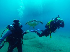 Spain Tenerife – PADI Open Water course