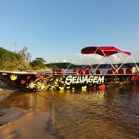 Brazil Amazon Alter do Chão – Amorim Adventure Boat Tour 14h00