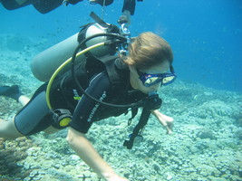 Indonesia Bali – Try Scuba diving discovery, 1 day