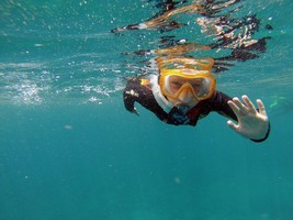 Spain Tenerife – Snorkeling in Tenerife waters 50 min