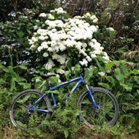 Açores São Miguel – Tour VTT Furnas 5h00