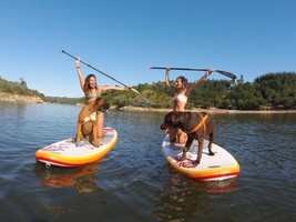 Portugal Rio Mondego – Stand Up Paddle 3h00