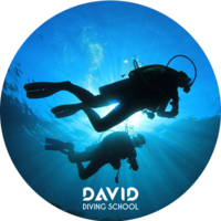 Spain Málaga – David Fun Dive underwater exploration