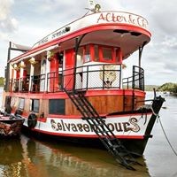 Brazil Amazon Alter do Chão – FLONA Jamaraquá Boat Tour 14h00