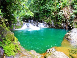 Costa Rica Golfito – Cascades Adventure en forêt tropicale 4h00