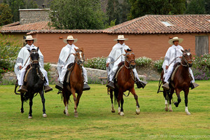 Pérou Lima – Spectacle du cheval Paso péruvien 4h30
