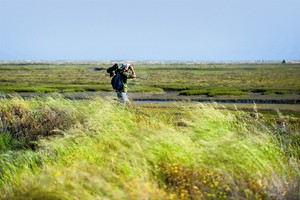 Portugal Algarve – Bird Route nature and birdwatching 3h00