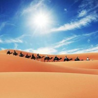 Morocco – Desert Star Travel 2 days / 1 night