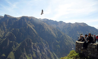 Peru Arequipa – Colca Canyon Full Day 1 day