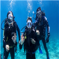 Discover scuba diving for the first time in Gran Canaria – Clicktodo.com | Baptême de plongée à Arguineguín, îles Canaries –